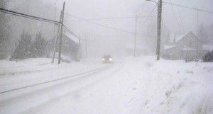 Cherry Valley this afternoon in this photograph by Janet Elson