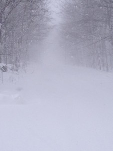 Morrison Point Road, Tuesday at 1 p.m. Photographed by Dave Cleary