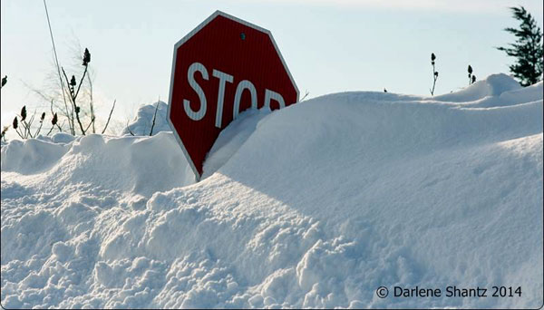 Stop-sign-in-snow-bank-Darlene-Shantz