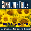 SunflowerFields
