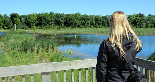 Visitor-using-the-lookout-at-Beaver-Meadow