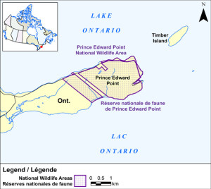 Prince Edward Point map