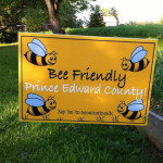 Province can follow County's example to "Bee Friendly"
