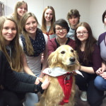 St. John Therapy Dogs help relieve stress of exams at PECI