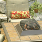 Help with backyard projects at Picton Home Hardware