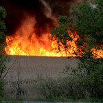 Big Island Marsh fires under investigation