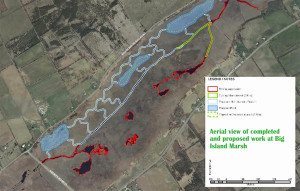 Quinte Conservation, Bay of Quinte Remedial Action Plan photo of work completed and under way at the Big Island Marsh. The lake has been officially named Lake Sprague, in honour of Spragues' work over the years.