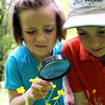 Donation supports Wild About Wildlife programs