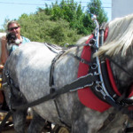 Community Day celebrates Consecon
