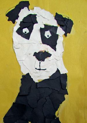 Panda by Nikola Hudgin, Bloomfield