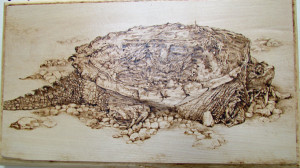 Turtle created by woodburning by Tammy Hellam, Waupoos