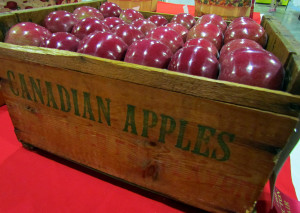 Lots of shiny, perfect apples on display.