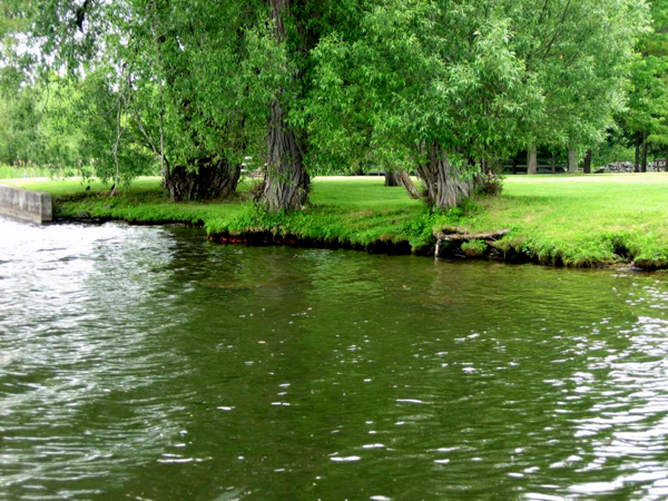 This shoreline was approved for a waterway planting/shoreline naturalization project to stop soil erosion along the banks.