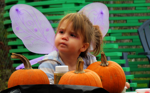 Fairy Princess Myah Beatty looks over her options in the HUB pumpkin patch.