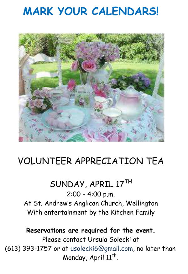 volunteer-tea-april-17
