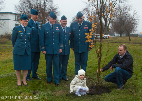 In commemoration of the British Commonwealth Air Training Plan, and 8 Wing’s role in its success, Wing Commander Colonel Colin Keiver, third from left, is joined by (left to right) Lieutenant-Colonel (Lt.-Col.) Cathy Blue, Quinte International Air Show 2016 Co-chair, Lt.-Col. Ryan Deming, standing in for QIAS2016 Co-chair Lt.-Col. Kevin Tromp, Wing Chief of Staff, Lt.-Col. Dave Alexander, and Wing Chief Warrant Officer Darcy Elder. Master Corporal Chad Merlin and his daughter, Lenna, age 3, complete the tableau recreating the planting of the first of 150 English Oak trees at 8 Wing on 11 April, 1945. Photo: Aviator Moulton, 8 Wing Imaging