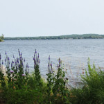 Funding and assistance available to remediate shoreline damage