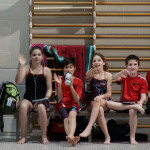 Dolphins earn medals, qualify for regional championships