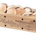 Mushroom producer fined for worker being critically injured