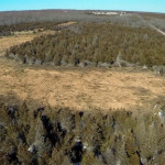 Wind turbine decommissioning funds for roads and trees before council