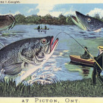 Fishing season opens with high hopes to catch big prizes - LIVE LEADERBOARD