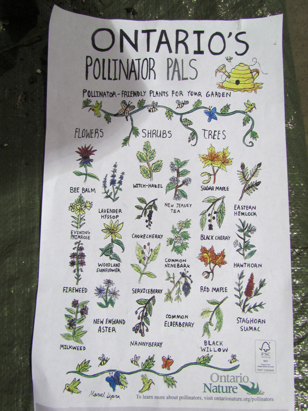 Naturalists-pollinator-pals