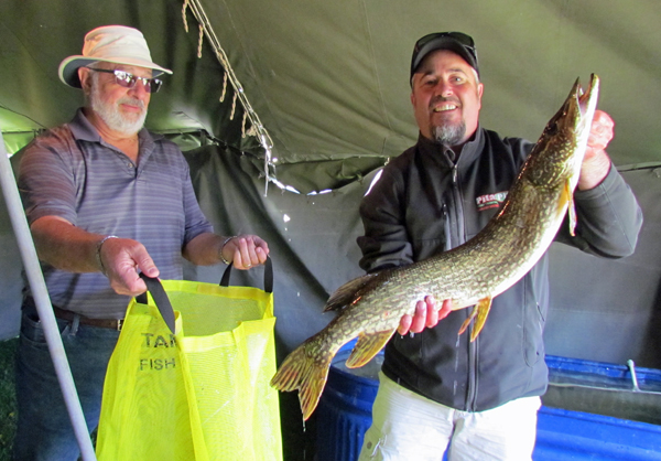 Paul McTaggart and Kiwanian Tom Finora at the Picton Marina weigh-in station with the pike that weighed in at 10.09lbs Saturday morning. McTaggart was last year's big pike winner.