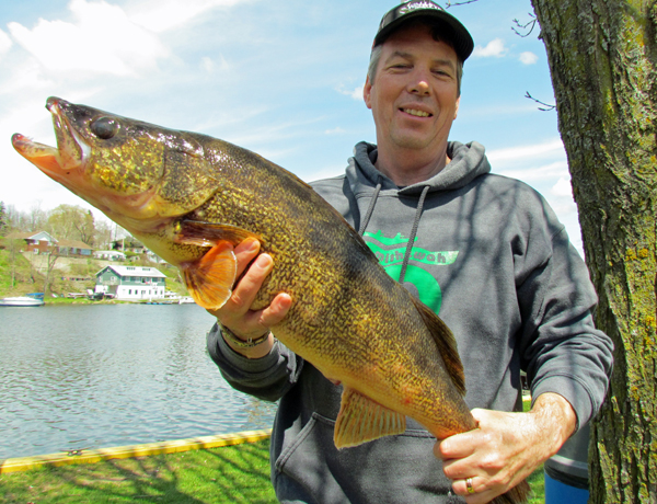 Steve Loback with the 9.87lb walleye that won him eighth place.