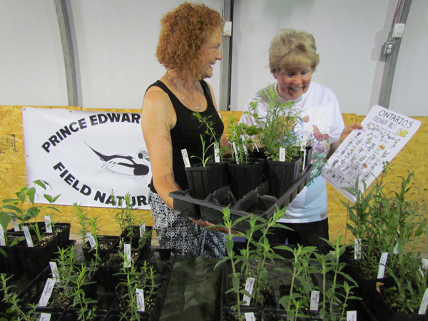 Carell Doerrbecker and Sheila Kuja discuss pollinator friendly plants at the PEC Naturalists' Plant Sale last weekend at Birdhouse City.