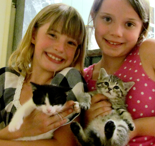 Nora Williamson and Chloe Galway hold newly-named kittens Luna and Zeke II. Auction bidders for naming rights also named a third kitten Tyrone.
