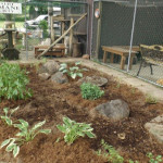 New memory garden at Loyalist Humane Society