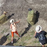 Childrens' games, Farmers' Olympics open County's Rodeo