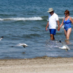Prince Edward Public Health issues heat warning - County cooling stations open