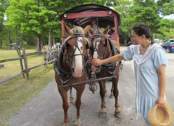 Blaine Way's Carriage took visitors on a horse-drawn tour of the area around Lakeshore Lodge.