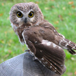 Naturalists' night features various presentations - Jan 28