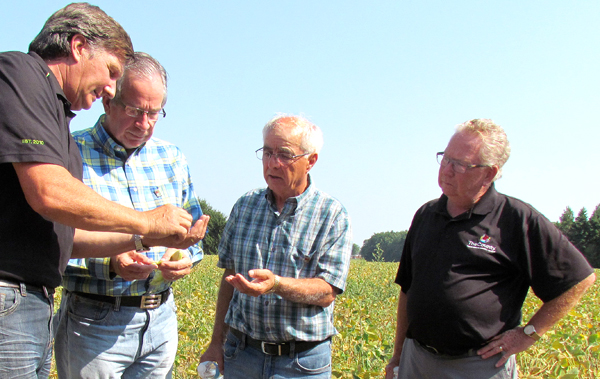 Lloyd Crowe, of Reynolds Bros Farm, Minister of Agriculture, Food and Rural Affairs Jeff Leal Northumberland-Quinte West MPP Lou Rinaldi and Prince Edward County Mayor Robert Quaiff inspect the condition of the soy beans at the farm.