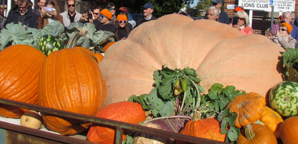 Parade watchers photographed the bountiful and colourful harvest.