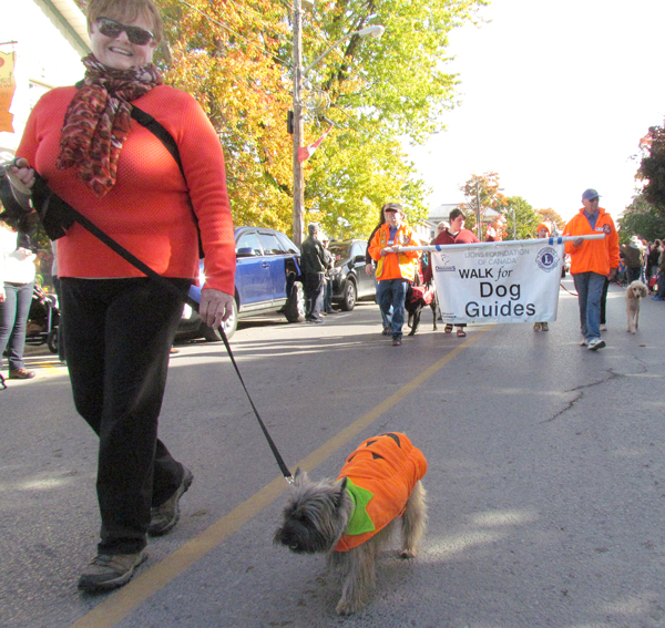 The Pumpkinfest Parade is also a fundraiser for the annual Guide Dog Walk