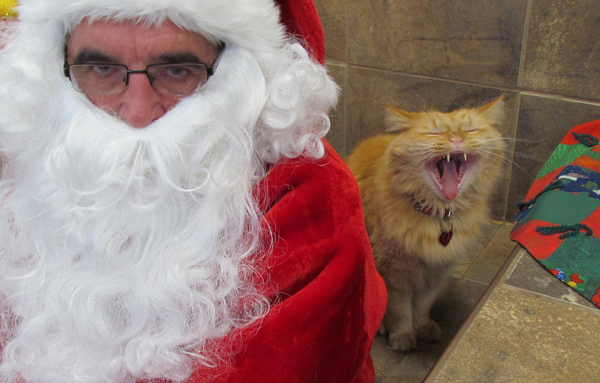 Pet Valu's top store cat, TJ, ensures Santa hears his wishes loud and clear.