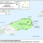 Comments on plan for Prince Edward Point open to March 31