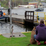 Proposal for partnership for Picton and Wellington marinas