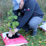 Bag gardening  - good luck with that