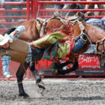 Championship Rodeo charges into Picton Fairgrounds