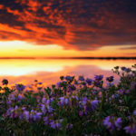 Quinte Conservation seeks photo contest entries
