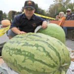 Prince Edward County boy weighs Canada's heaviest watermelon at Pumpkinfest