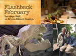 Plans underway to celebrate Heritage Week in the County