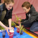 Spring gardening sprouts at Seedy Saturday