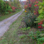 Section of Millennium Trail Wellington closed for a week beginning Sept. 19