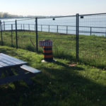 Tree maintenance in Wellington Park Thursday