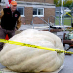 Pumpkinfest celebrates the heavyweights in Wellington